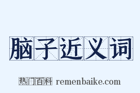 脑子近义词是什么意思的图片